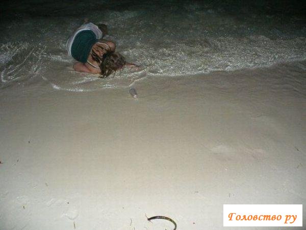 Сучечки перепили спиртных напитков