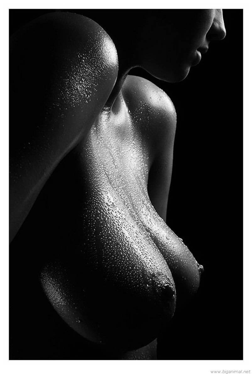 Александр Тихомиров фотограф