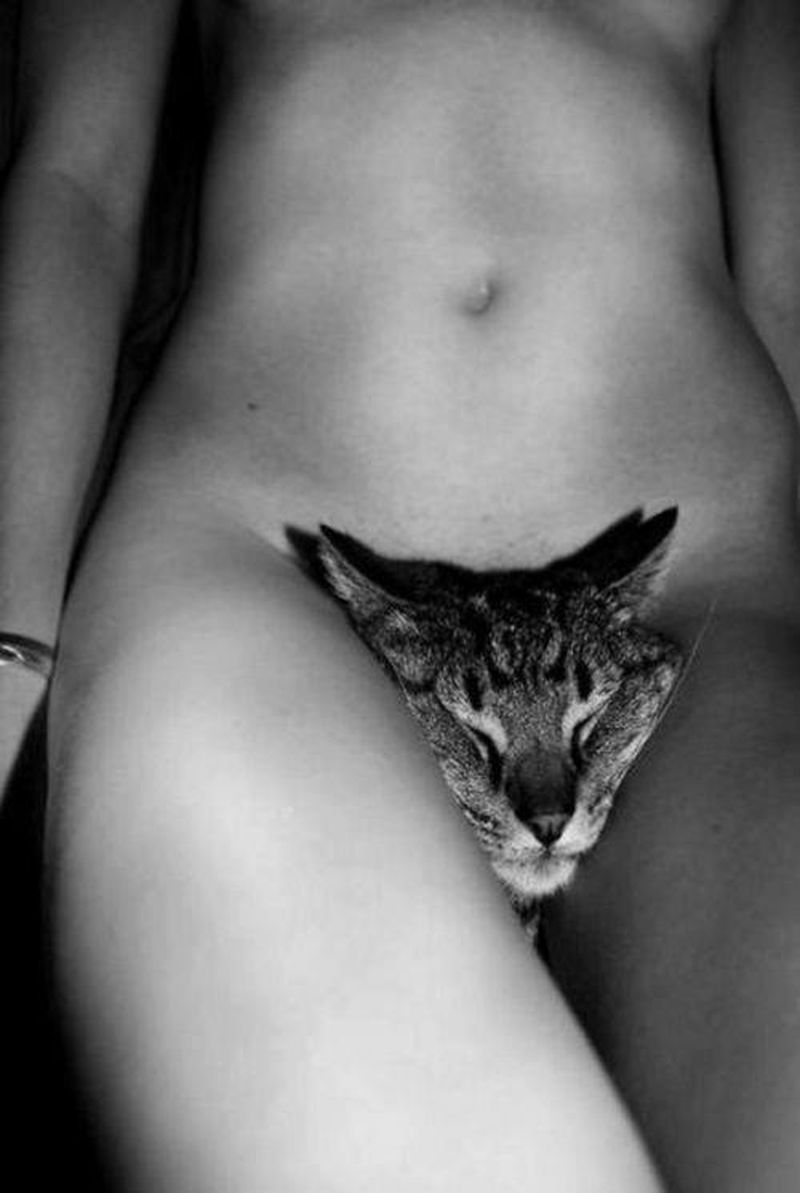 Красивые тёлки с красивыми кисками