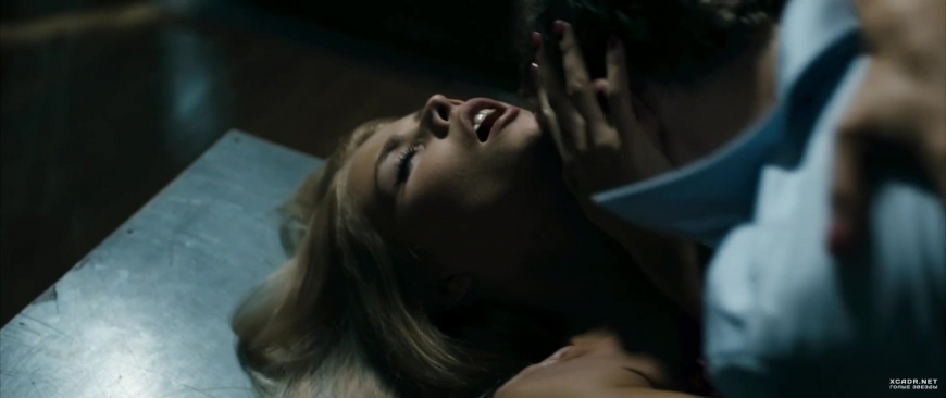 Вадим Дубровин жуки