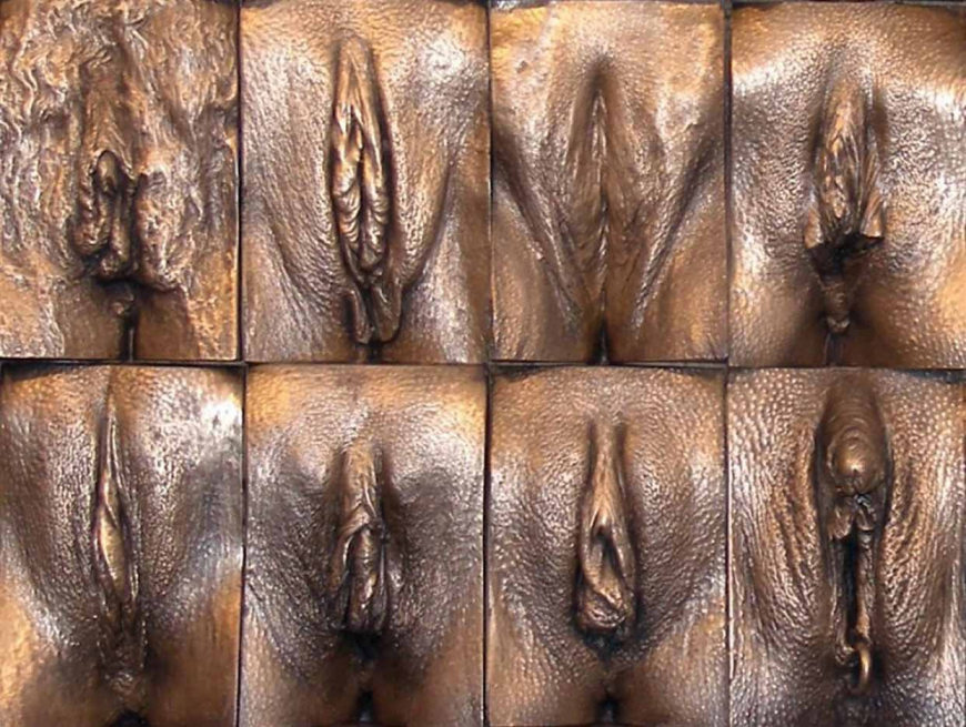 Разные женские влагалища