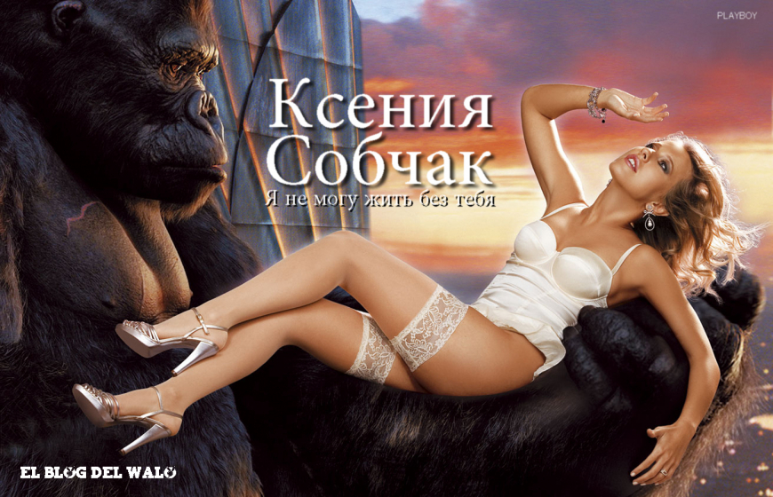 Собчак плейбой