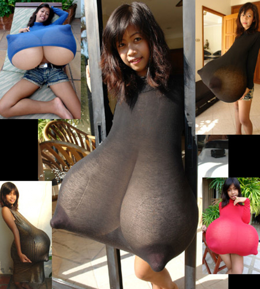 Тинг хиафен и Фаранг Динг Донг