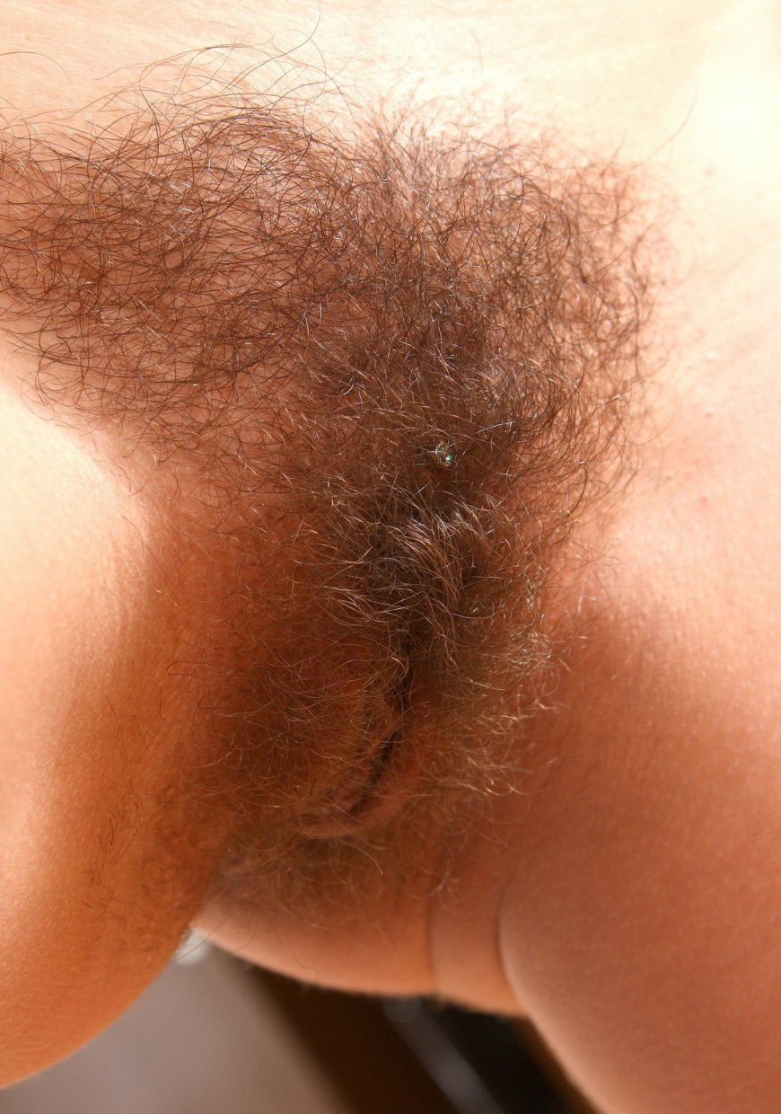 Красивая волосатая вагина
