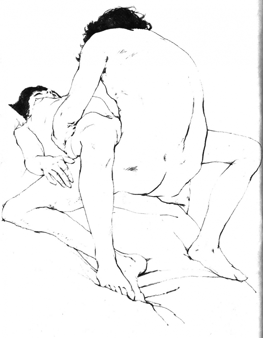 Рисунки поз полового акта