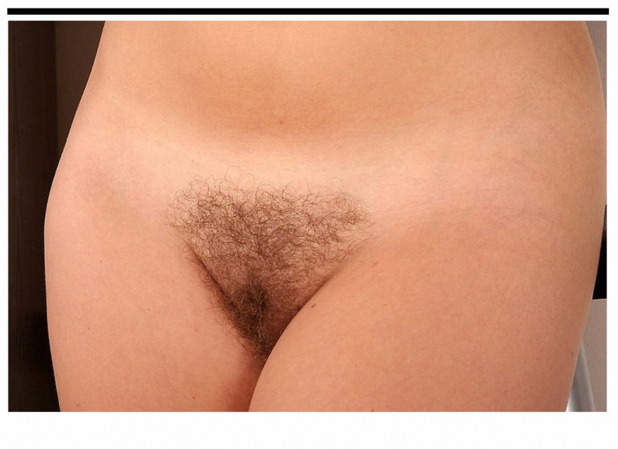 Высокий волосатый лобок