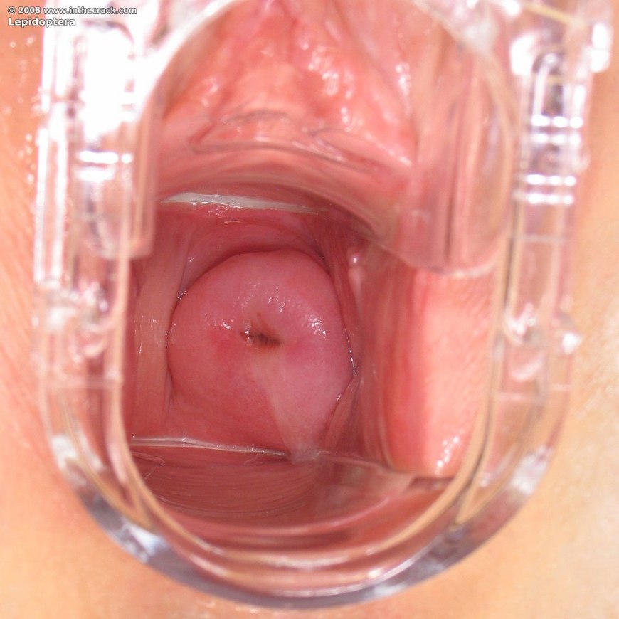 Женская вагина изнутри