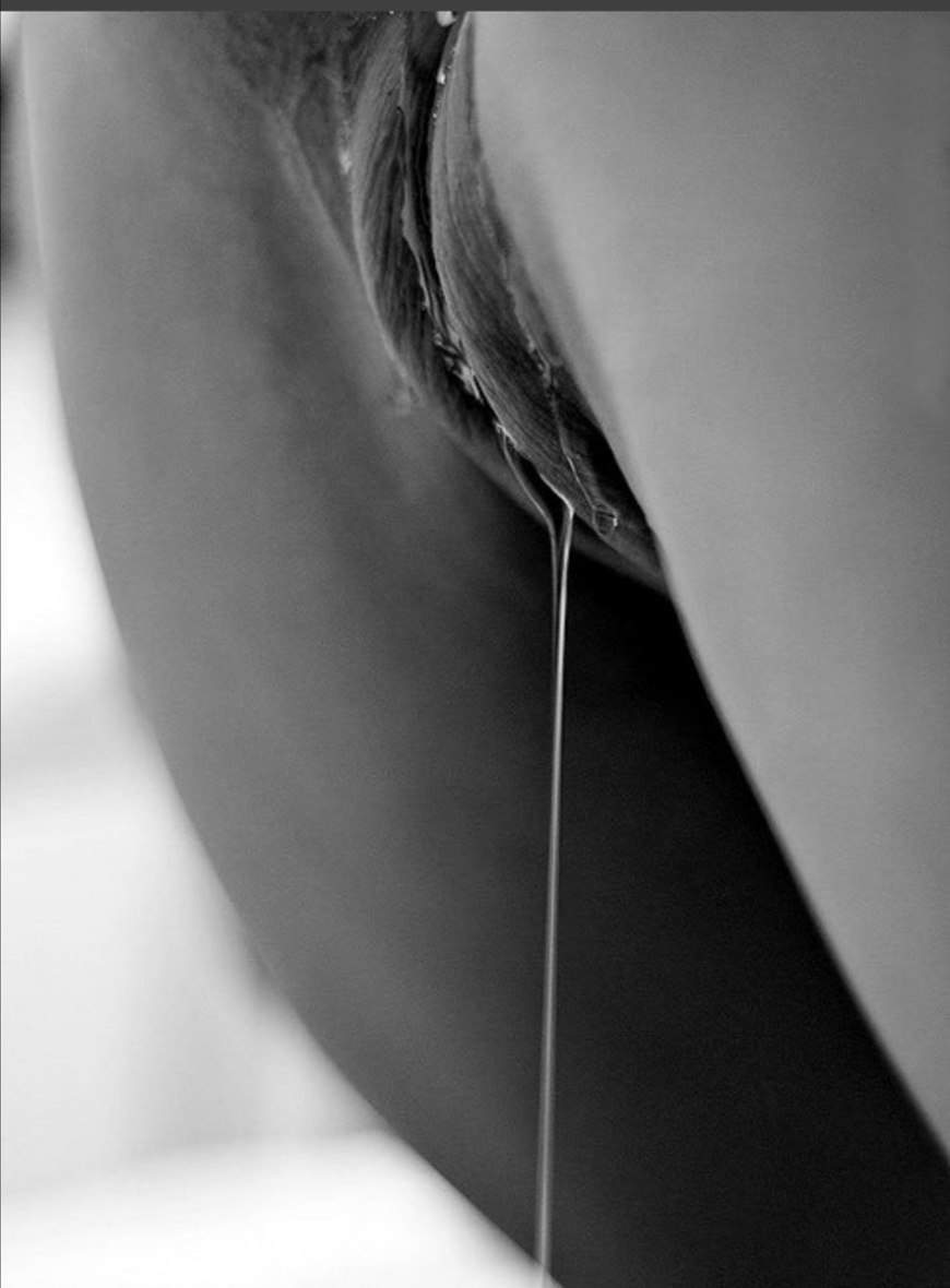 Влажные женские трусики