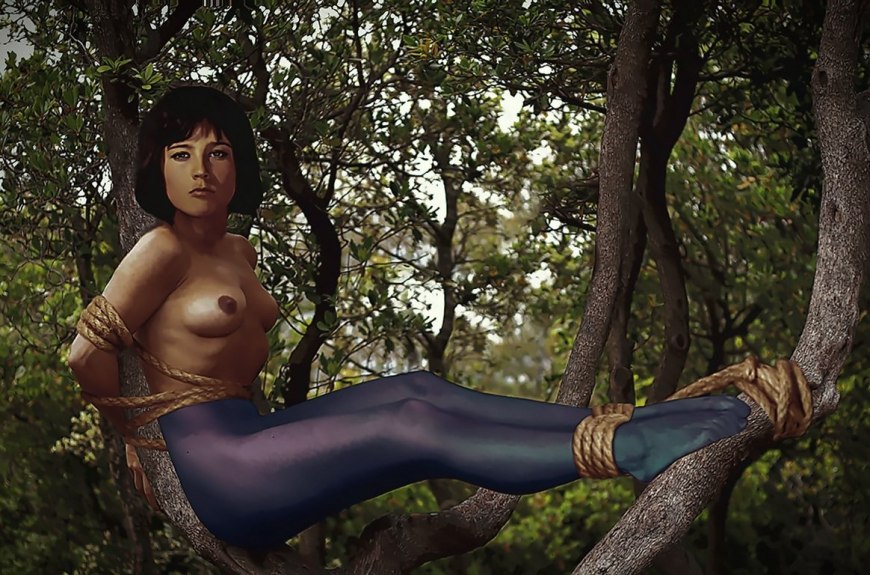 Подписаться 5,553 (TTL) Vintage vaginas