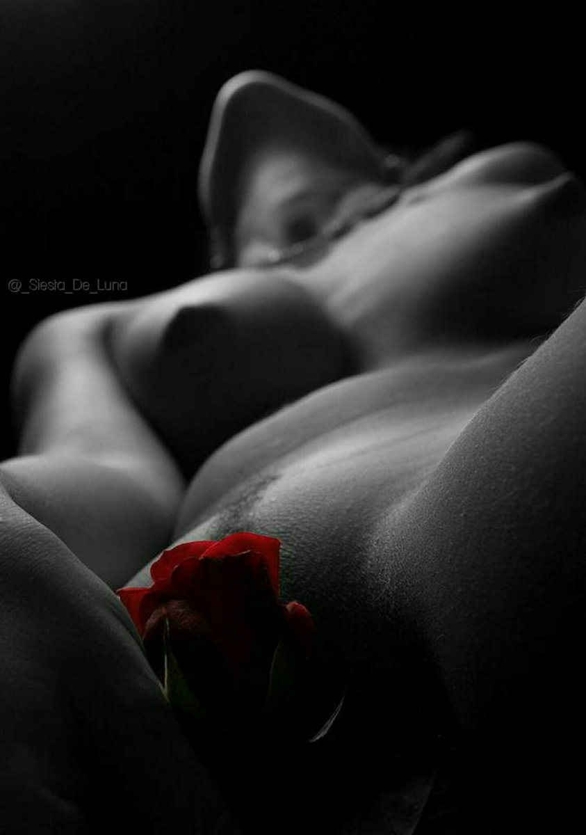 Красивые эротические девушки