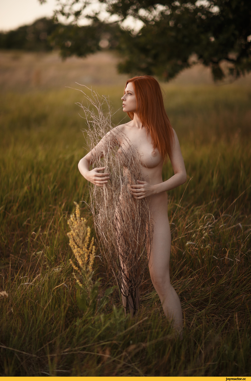 Дарья Перова ню