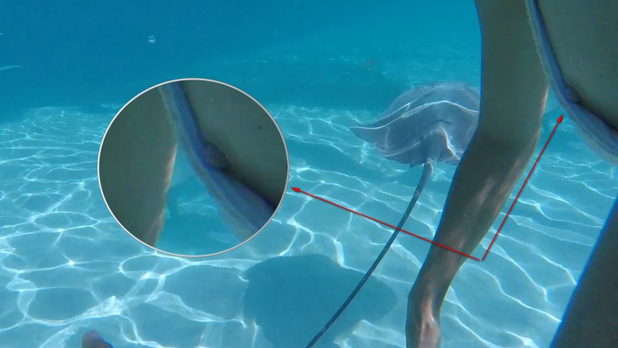 Трусики Регины Тодоренко