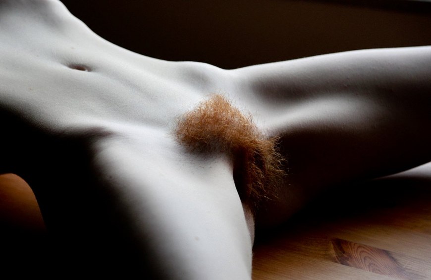 Красивые пушистые лобки