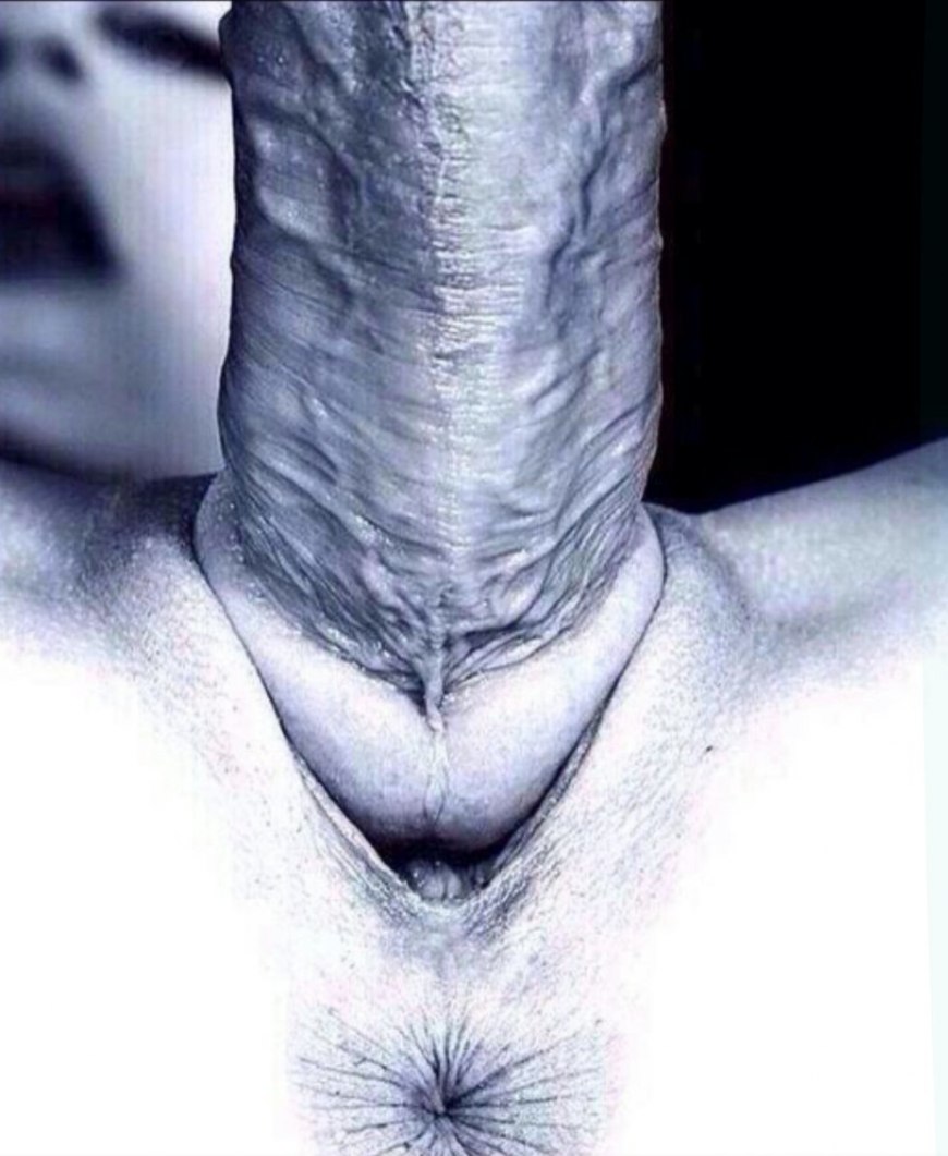 Прикасается губами к члену