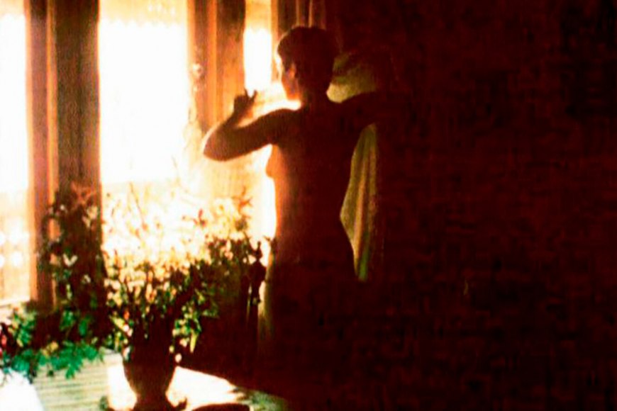 Зимняя вишня Елена Сафонова голая