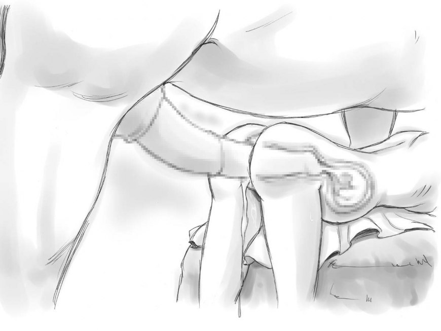 Половой член во влагалище схема