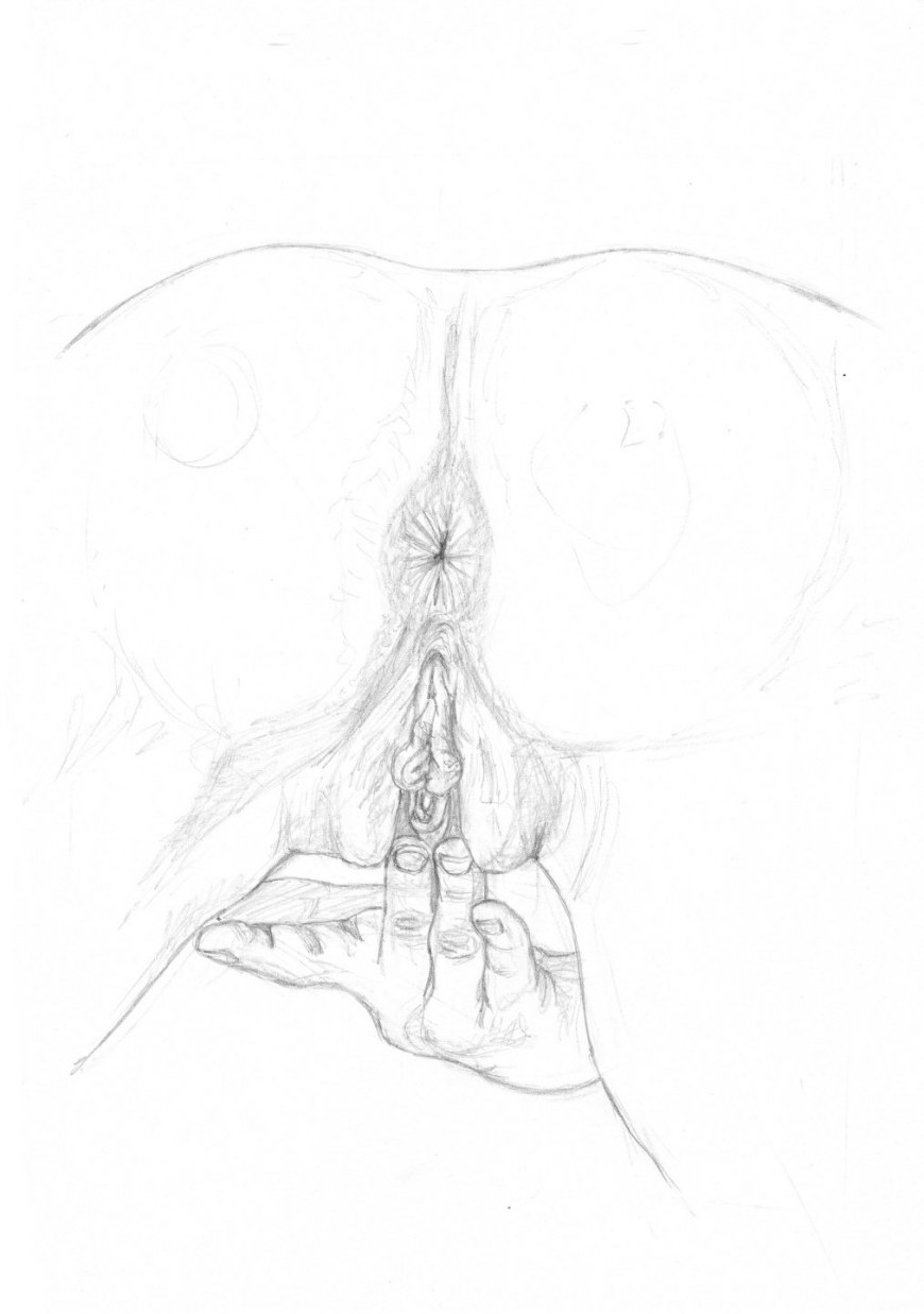 Карандашный рисунок вагины