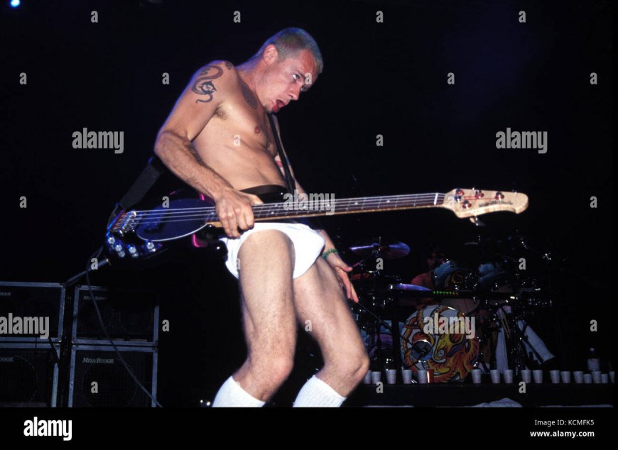 RHCP В молодости в носках