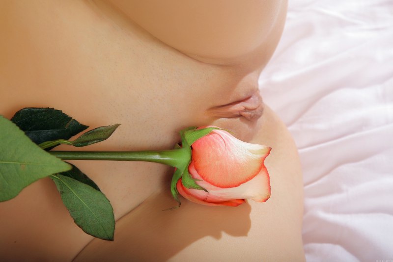 Цветок в голой женской попе