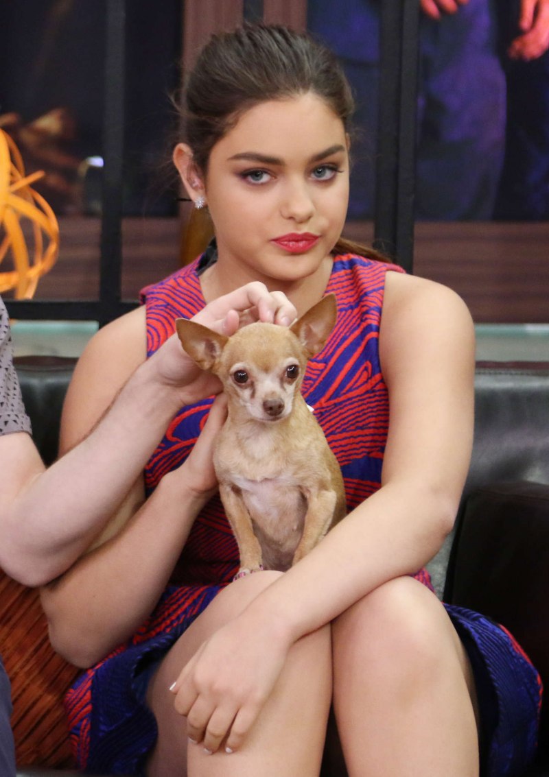 Александра Даддарио (Alexandra Daddario) голая