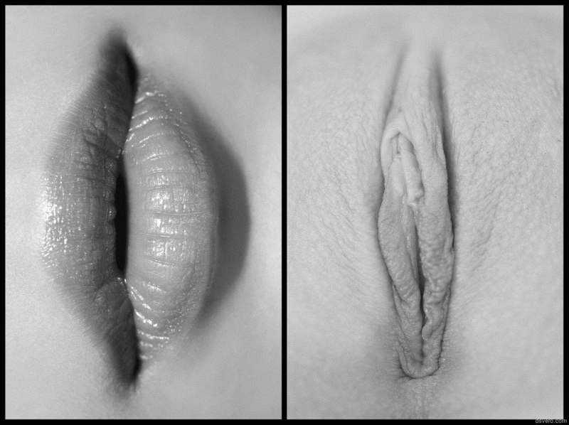 Формы женских половых губ