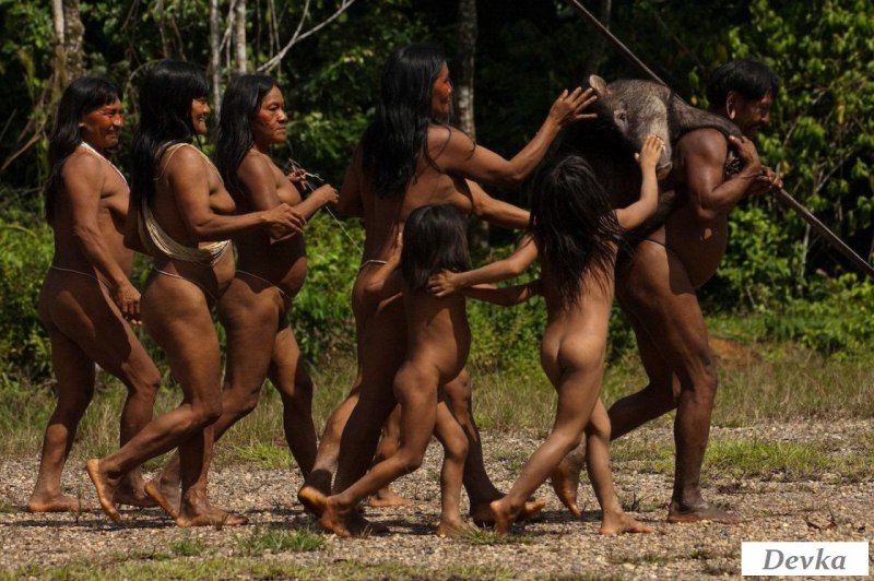 Дикие племена Амазонии Неконтактировавшие