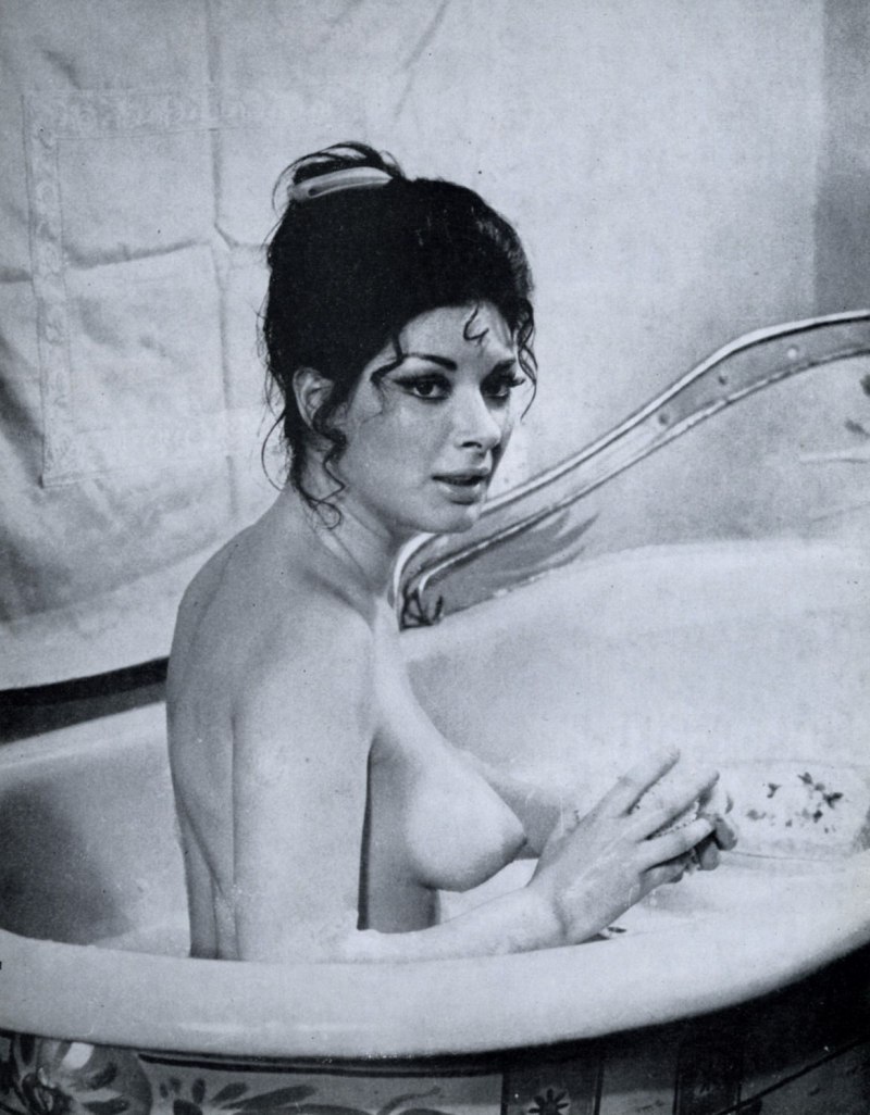 Эдвиж фенек эротические