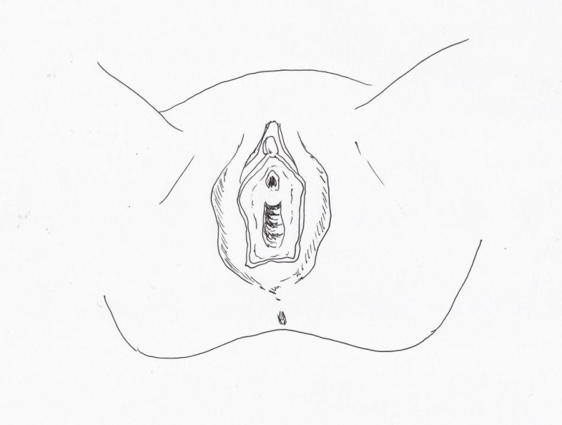 Женское влагалище схематично