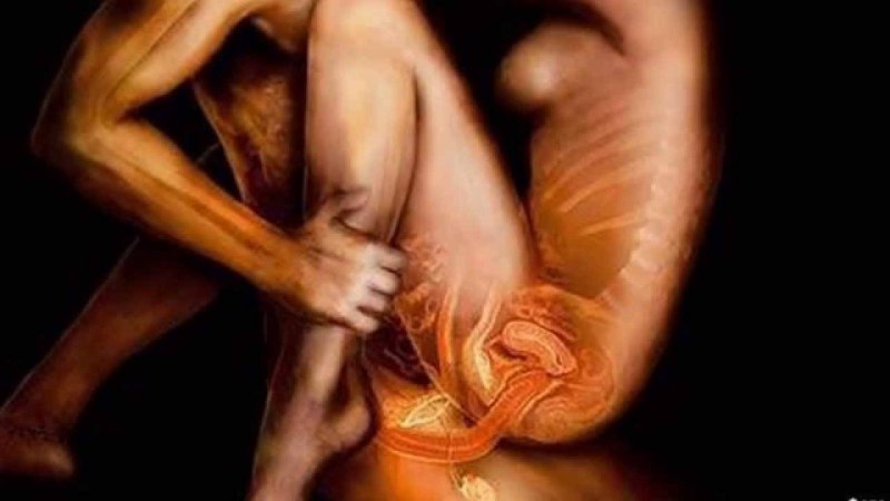 Внутри влагалища крупно