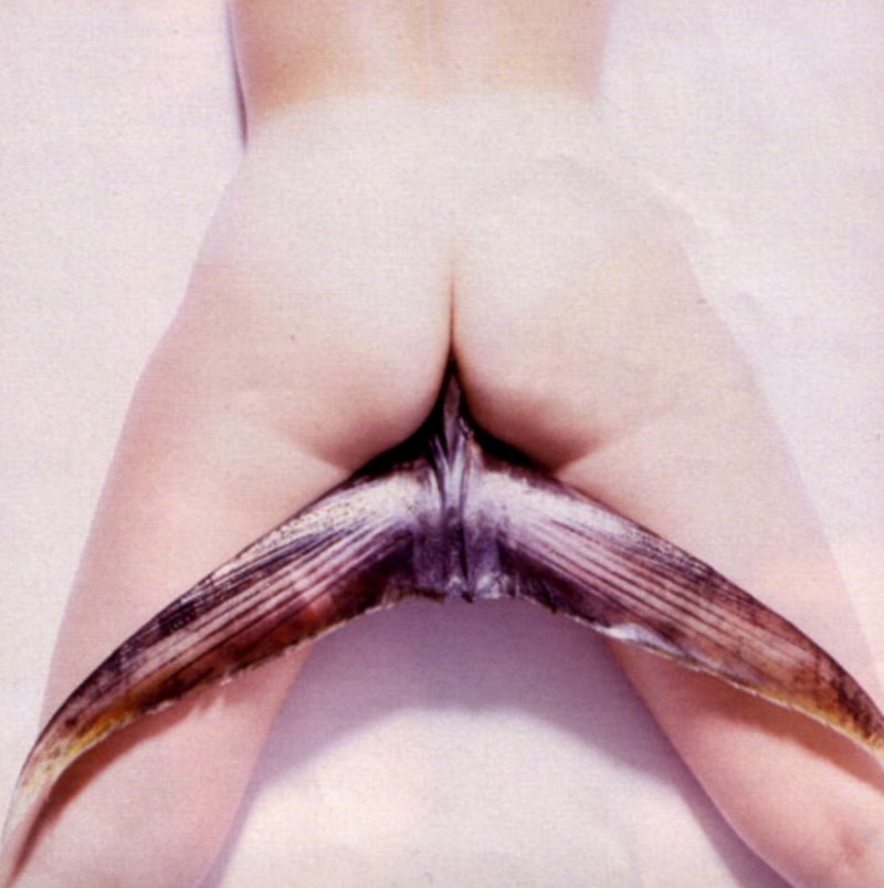 Хентай девушка и Дельфин