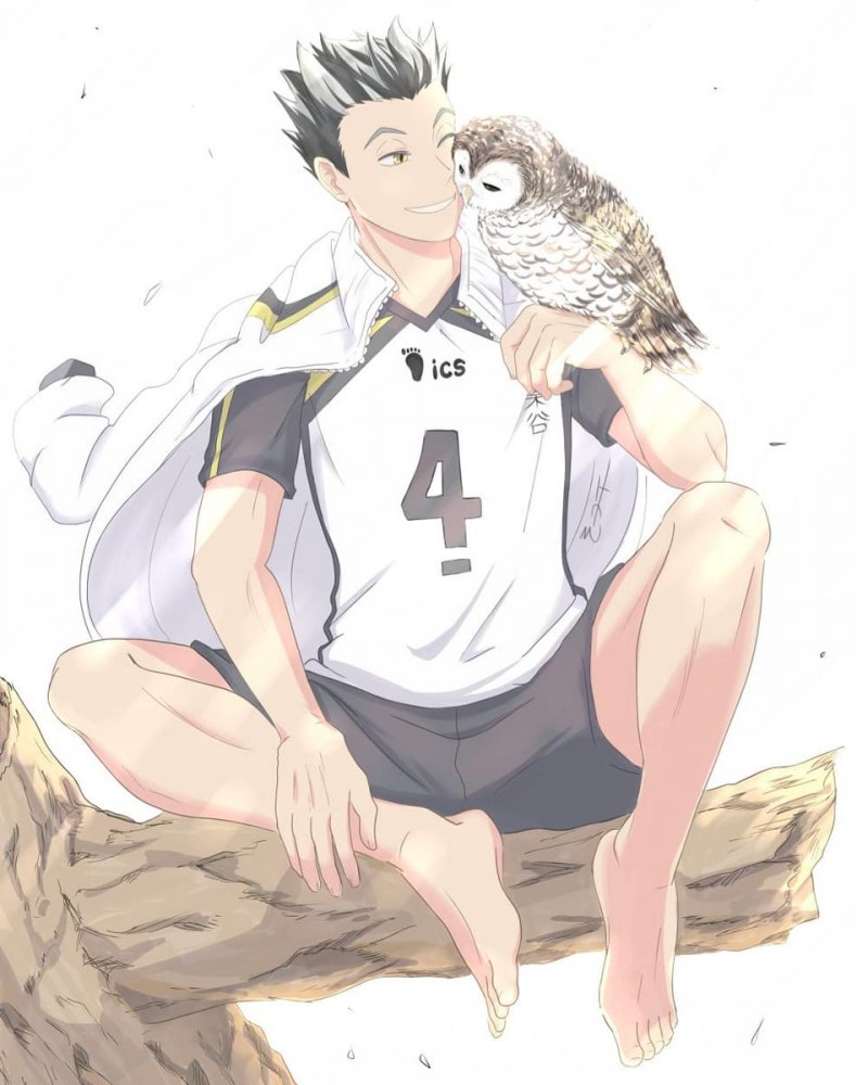 Сугавара коуши и Даичи sex