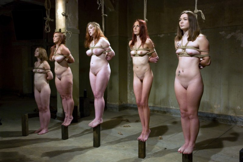 Cherry torn Sasha lexing Savannah West Maggie Mayhem Sarah Shevon