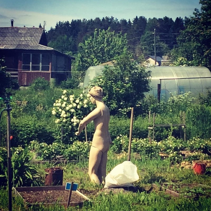 Загорать на огороде