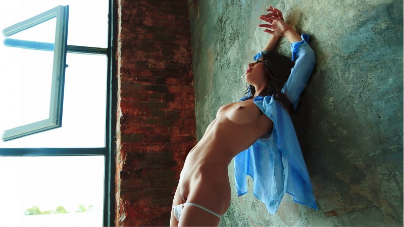 Красивая грудь у окна ню