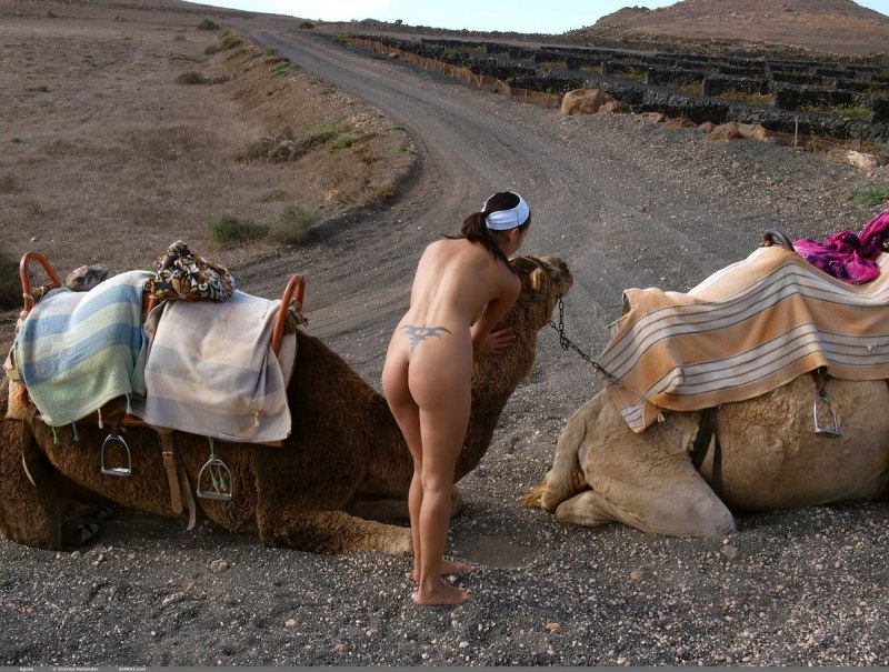 Красивые голые монголки