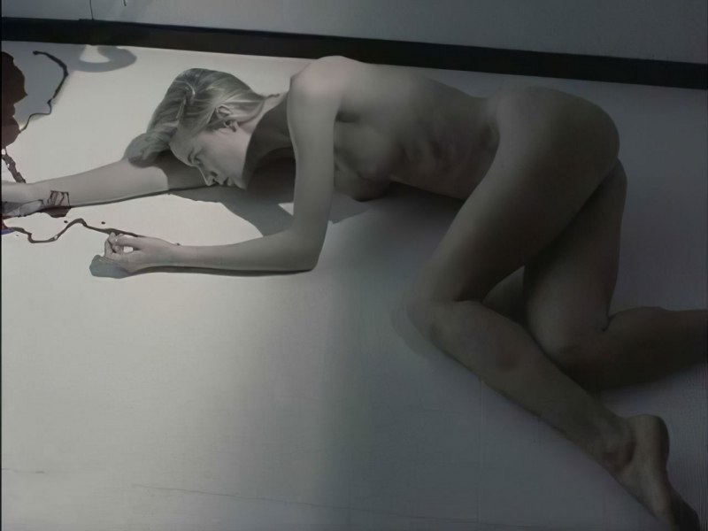 Келли Линч в эротических фильмах