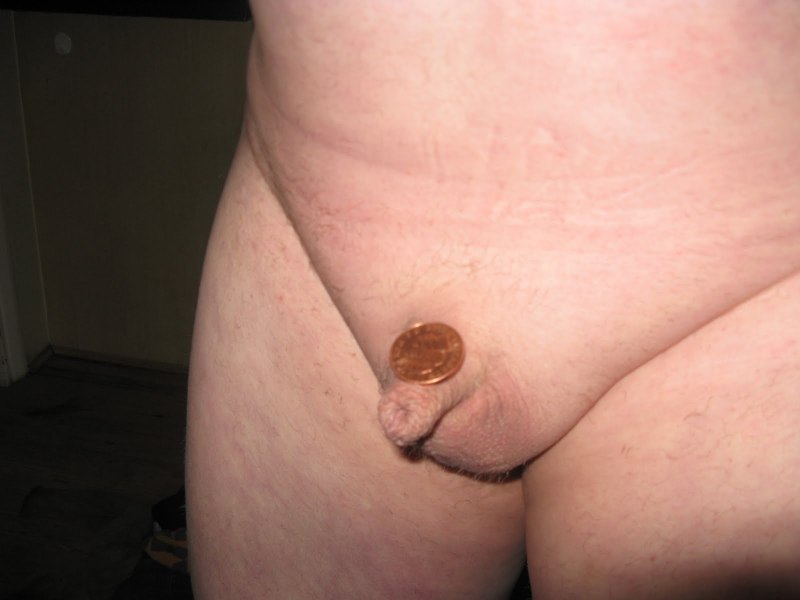 Эрегированный мужской половой член