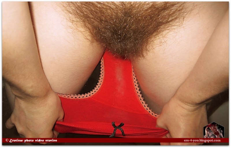 Волосатая писечка в трусиках