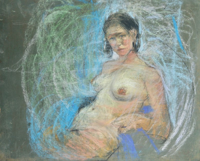 Наталья Аникина плэйбой