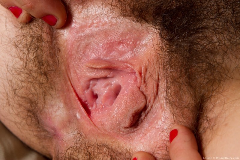 Небритая вагина крупно