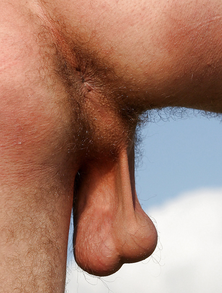 Волосатые обвисшие яйца