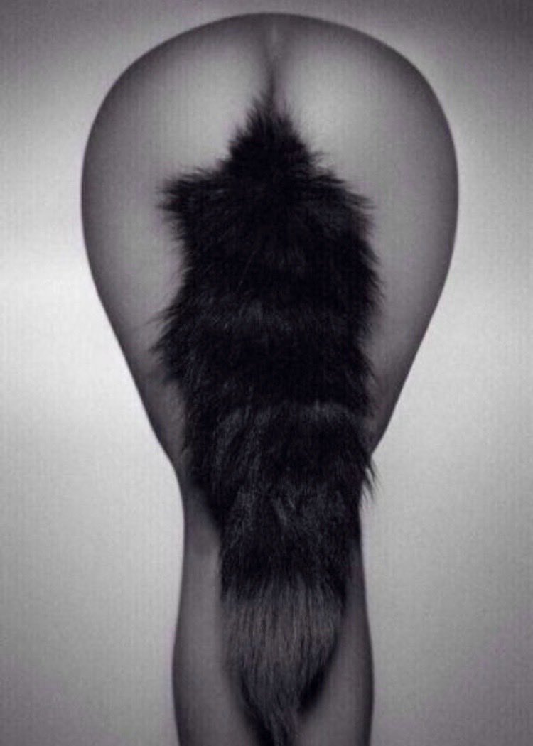 Киттен Софи анальный хвост