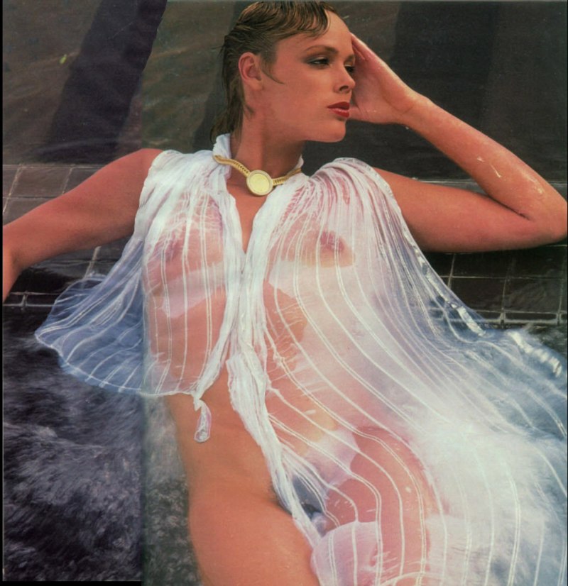 Бриджит Нильсен в молодости эро