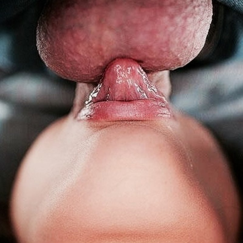 Лижет и заглатывает яйца