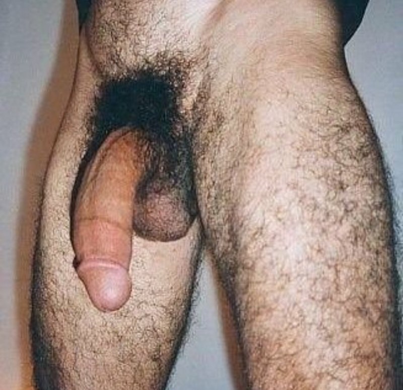 Волосатые мужики ебутся