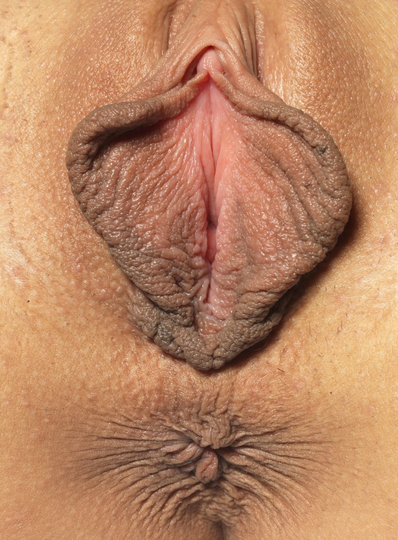 Разные виды женской вагины