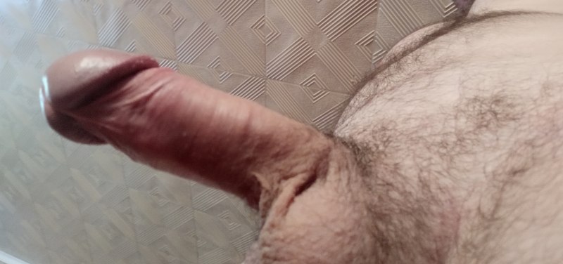 Половой член вид снизу