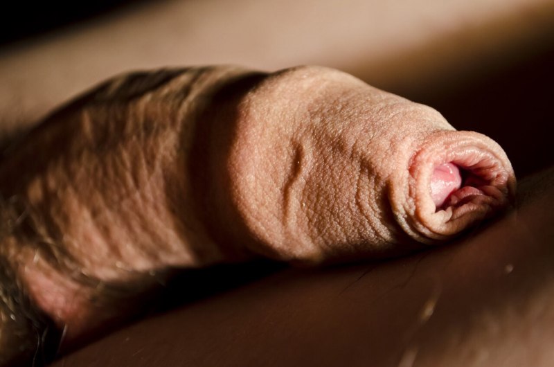 Большой пенис с крайней плотью