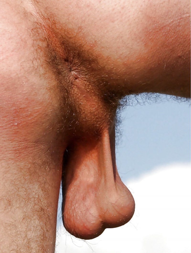 Красивые висячие члены парней