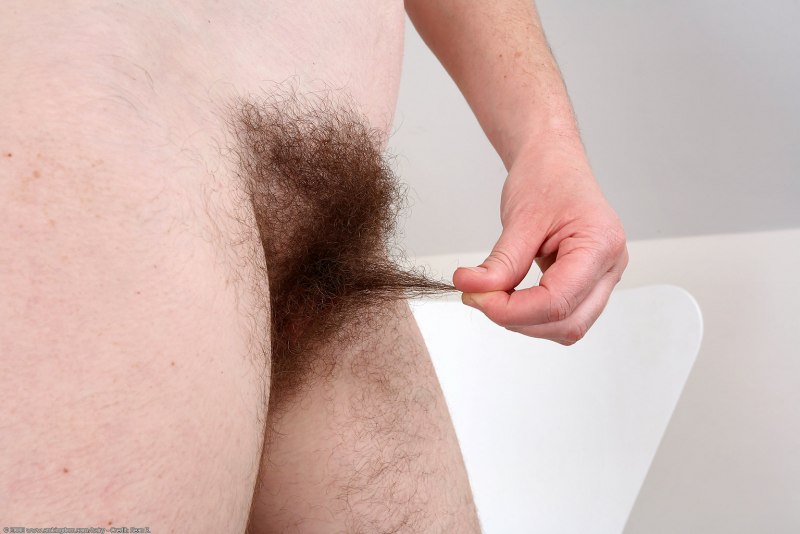 Отличный трах волосатой киски